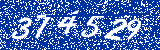 Capcha image